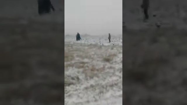 Мотовездеход 2х2 смотреть онлайн