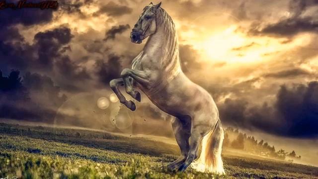 самый красивый мощный нашид смотреть онлайн