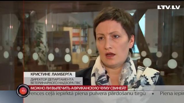 Можно ли вылечить африканскую чуму свиней? смотреть онлайн