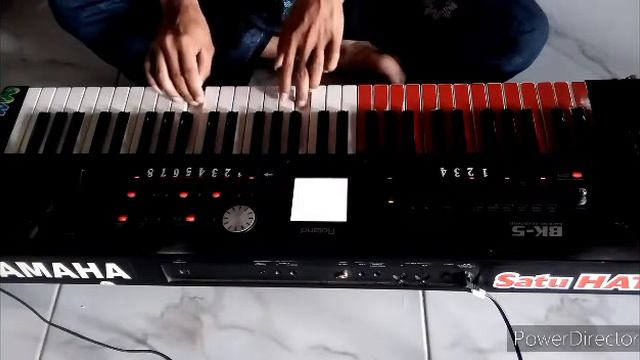 nyleweng.Roland bk5 смотреть онлайн