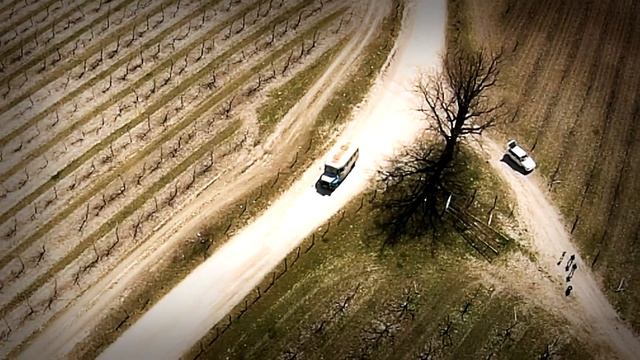 "НПФЧ" Персиковый сад ... п.Новомихайловский (Сады) смотреть онлайн