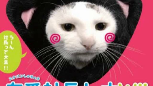 Wii Sukeban Shachou Rena BGM07 「女番社長レナＷｉｉ」 смотреть онлайн