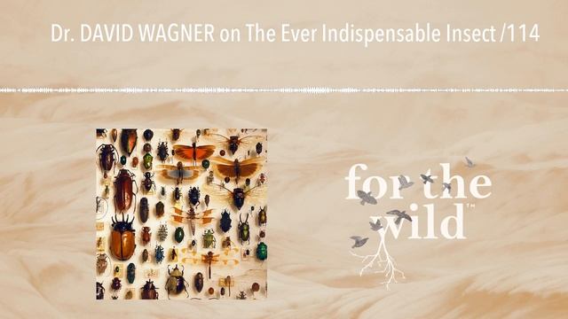 Dr. DAVID WAGNER on The Ever Indispensable Insect /114 смотреть онлайн