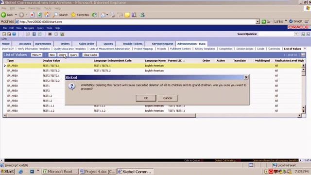 Siebel CRM - Project 4 (part1) (Easy LOV Import - 3 Level Hierarchy) FREE Course Workshop - OMNI смотреть онлайн
