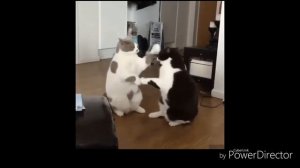 Есть друзья, а для них у друзей нет выходных