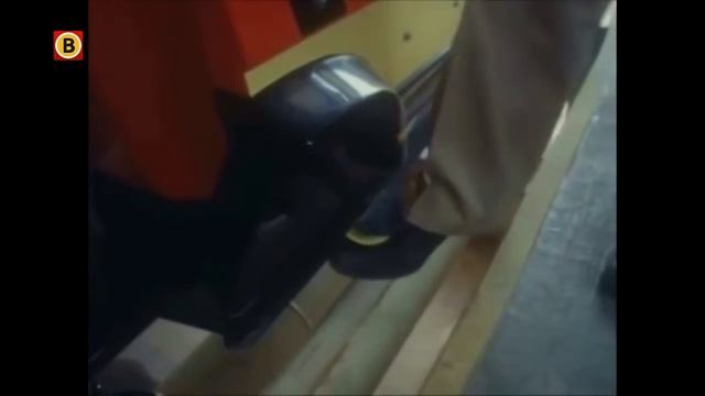 De opening van de Python was in 1981 landelijk nieuws смотреть онлайн