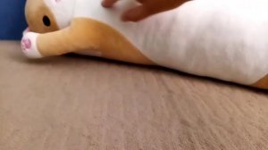 обзор кот батон 90 см