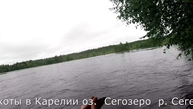 Гости из Питера Интересная рыбалка на озере и реке смотреть онлайн