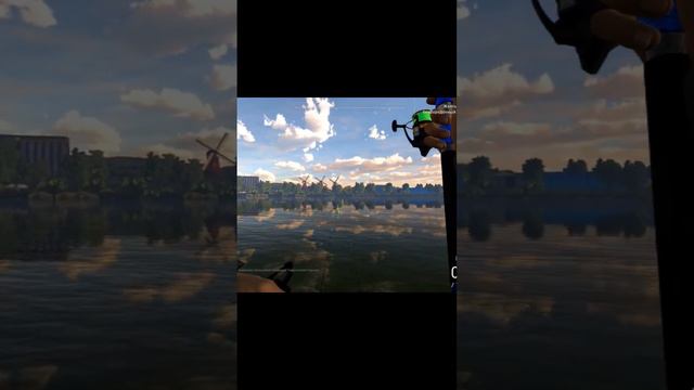 Fishing Planet.Уникальный Лещ.#рыбалка #cyberlady #fishingplanet смотреть онлайн