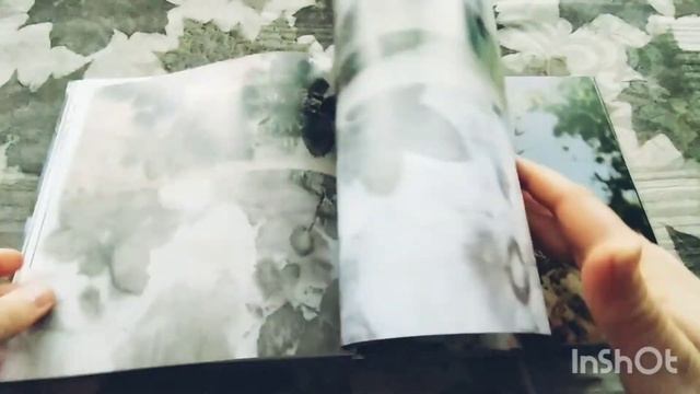 Видеообзор книги "Отпечатки природы" смотреть онлайн