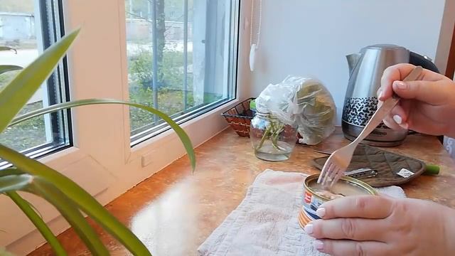 ЭКОНОМНОЕ МЕНЮ на 2 дня - НЕдорого и Очень ВКУСНО//Простые РЕЦЕПТЫ на КАЖДЫЙ день/БЮДЖЕТНОЕ питание смотреть онлайн