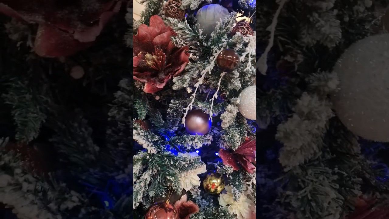 День на ,,Заимке,, Всех С Рождеством #жизньвовремяпутешествий #Рождество2024 #заимка_ривьера смотреть онлайн