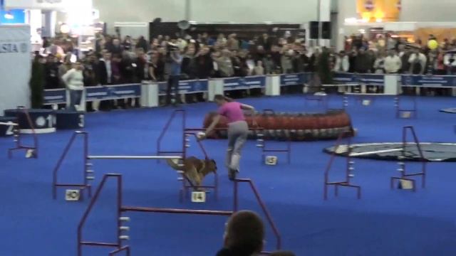 Евразия 2010-Штеффи.mov смотреть онлайн