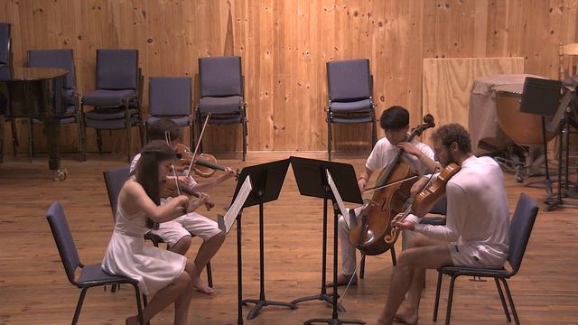 Ludwig van Beethoven • String Quartet in C minor, Op. 18, No. 4 (1800): I. Allegro ma non tanto смотреть онлайн