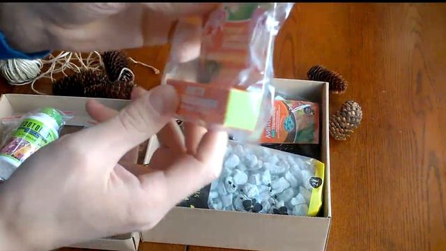 Новогодний набор ВСЁ ДЛЯ ОРХИДЕЙ. смотреть онлайн