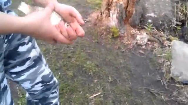 рыбалка Счастье.mpg смотреть онлайн