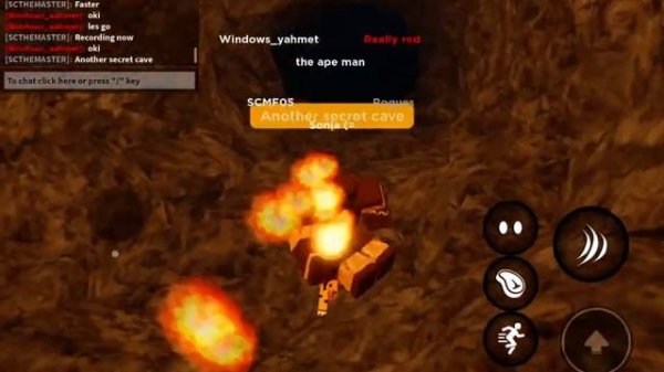 All the secrets in playbox safari (roblox)