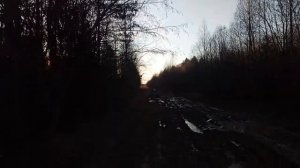 Самодельный гусеничный вездеход