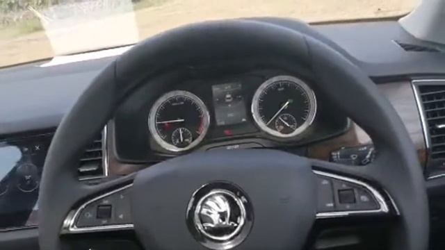 Skoda Kodiaq Scout Live From Pench Tiger Reserve