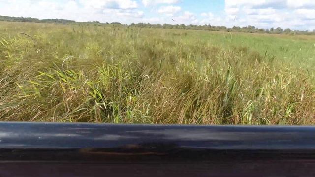 Пассажирский модуль на длиннобазной версии "Лесник-Мастер" смотреть онлайн