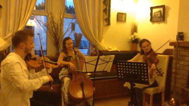 Glasach Trio. Sad Fiddler / The Goat Whisperer. Hyme, South Kyme, UK смотреть онлайн