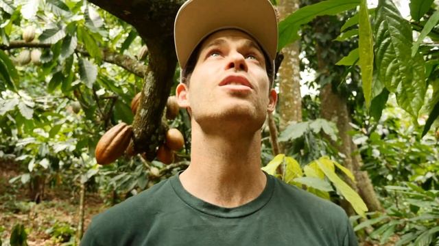 Cacao Farm Comparison | Ep.82 | Craft Chocolate TV