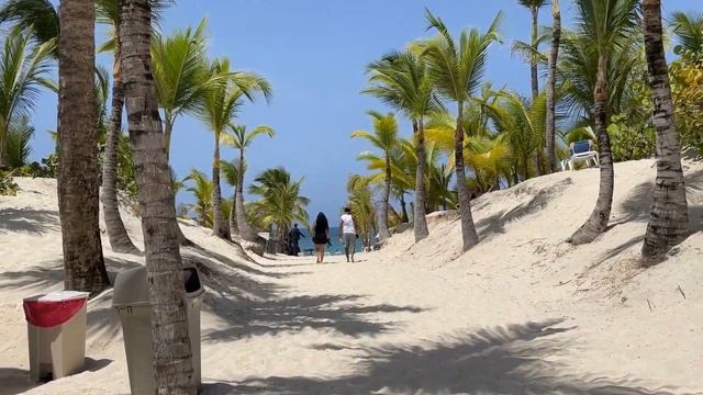 Доминикана. Riu Republica 5 Пунта Кана Обзор отеля смотреть онлайн