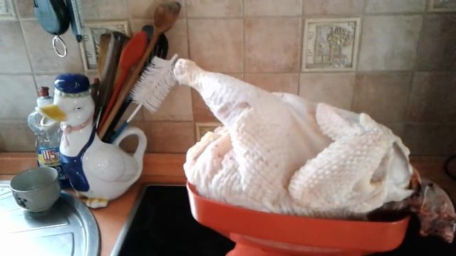 Забой кур несушек♡ вес несушек ♡ 11 кур♡ 22 половинки♡ результат порадовал♡ смотреть онлайн