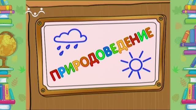 Школа Шишкиного Леса. Природоведение. Воздух смотреть онлайн