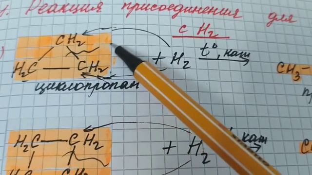 Органическая химияТема: Циклоалканы, их свойства смотреть онлайн