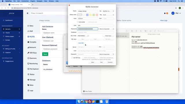 Using TablePlus to connect to your database - ploi.io смотреть онлайн