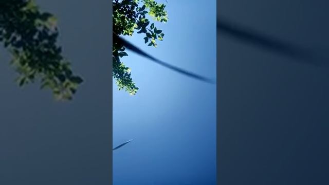 22.Что такое истина? Что бы сказал на это Иисус?