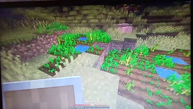 играю в новый хардкор на тлаунчере! *нашел корабль* смотреть онлайн