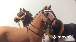 Лошади шляйх, амуниция , амуниция на шляйх