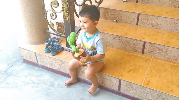 Зубайр играет с говорящим кактусом. Zubayr is playing with a talking cactus.
