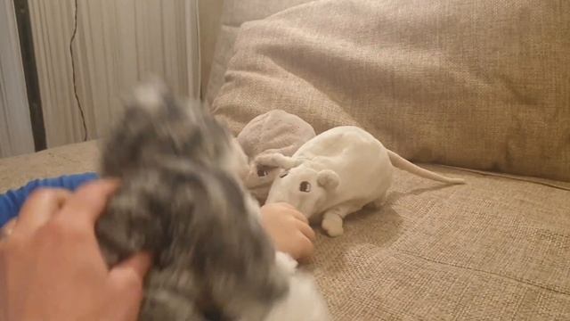 Автоматизация Ш в стихах- делаем мультики!