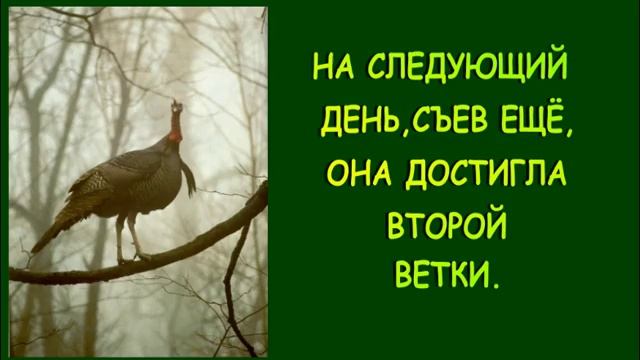 ПРИТЧА О ТОМ,СТОИТ ЛИ ПОДНИМАТЬСЯ СЛИШКОМ ВЫСОКО. смотреть онлайн