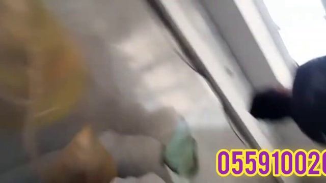 @7_Nebo фото печать фото обои 0559100202 наши работы смотреть онлайн