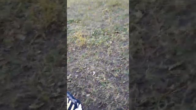 Друг разбил телефон смотреть онлайн
