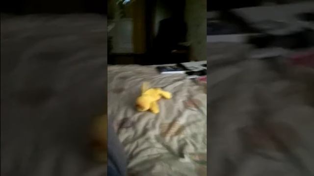 Цербер в ангельском обличии смотреть онлайн