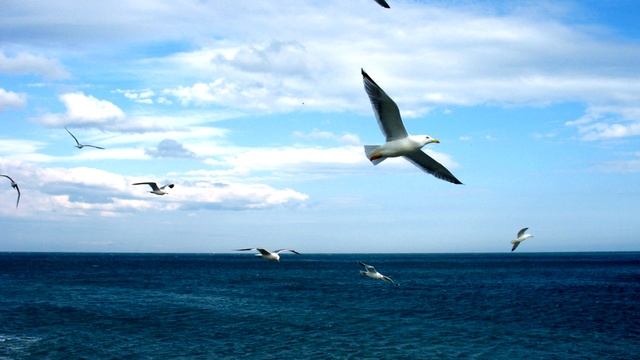 Аутотренинг смотреть онлайн