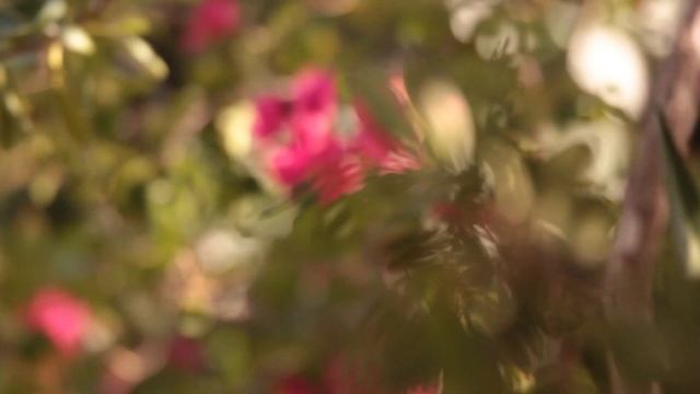 Coccoloba Beach House In Providenciales, Turks And Caicos Islands