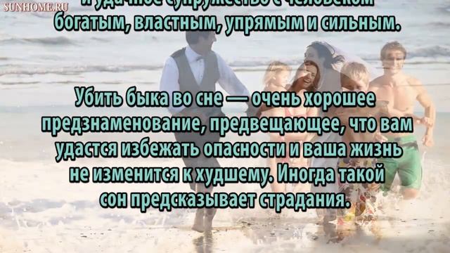 К чему снится Бык сонник, толкование сна смотреть онлайн