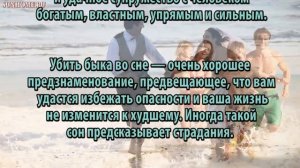К чему снится Бык сонник, толкование сна