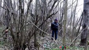 Какие Грибы Растут в Апреле