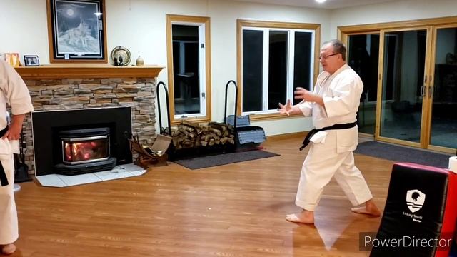 Home Training Shotokan Karate - January 18 2021 смотреть онлайн