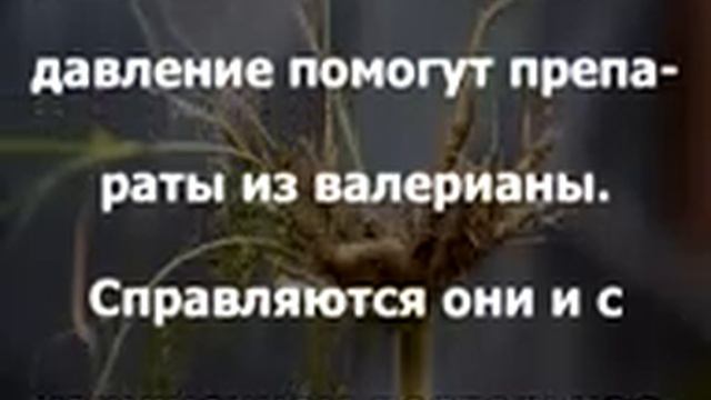 Что Делать, Если Не Получается Избавиться От Раздражительности и Нервозности смотреть онлайн
