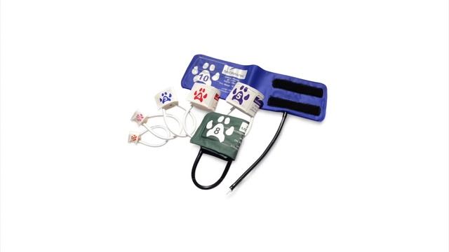 The Cardell Insight Veterinary Monitor by Midmark смотреть онлайн