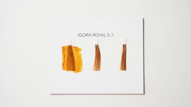 Ultimate colour retention with IGORA ROYAL смотреть онлайн