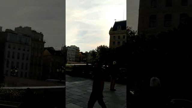 Catedral NotreDame, París смотреть онлайн